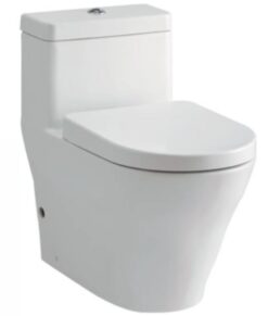 Bồn cầu 1 khối TOTO CW166RB/TC384CVK