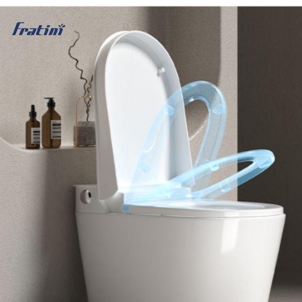 Bồn cầu liền khối Fratini Verona 39010108