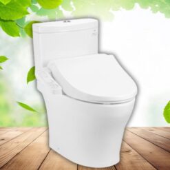 Bồn Cầu Hai Khối TOTO Kèm Nắp Rửa Điện Tử CS769DRW