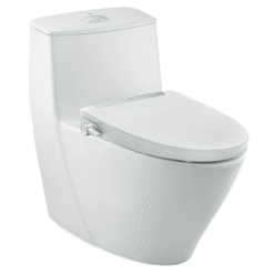 Bồn cầu 1 khối INAX AC-919R+CW-S32VN/BW1