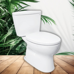 Bồn cầu 2 khối TOTO CS300DRT3#W