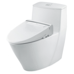 Bồn cầu 1 khối INAX AC-919R+CW-KB22AVN/BW1