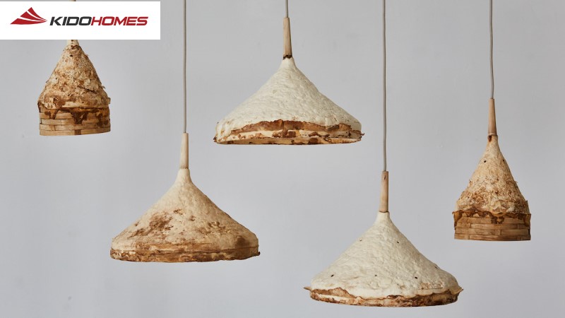 Vật liệu sinh học mới: Mycelium - sợi nấm đang trở thành một vật liệu đột phá trong thiết kế nội thất bền vững Vật liệu sinh học mới: Mycelium - sợi nấm đang trở thành một vật liệu đột phá trong thiết kế nội thất bền vững