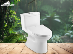 Bàn cầu hai khối TOTO kèm nắp rửa điện tử CS767RW18#XW