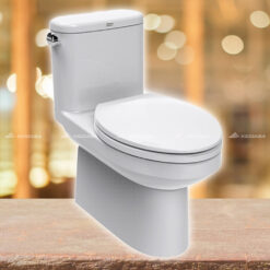 Bồn cầu American Standard CL20450-6DACTSTP - 1 khối, nắp êm