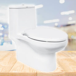 Bồn cầu American Standard CCAS1858-1MAS3B - 1 khối, nắp rửa lạnh