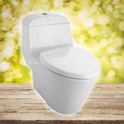 Bồn cầu 1 khối AMERICAN STANDARD C2011001-1M15B