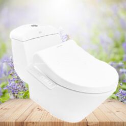 Bồn Cầu American Standard VF-2011PL