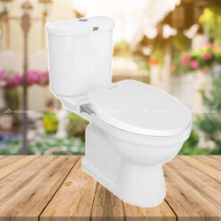 Bồn cầu American Standard C2013001-1MAS3B - 2 khối, nắp rửa lạnh