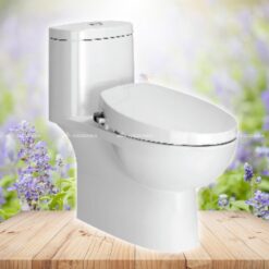 Bồn cầu American Standard VF-2024S - 1 khối, nắp êm