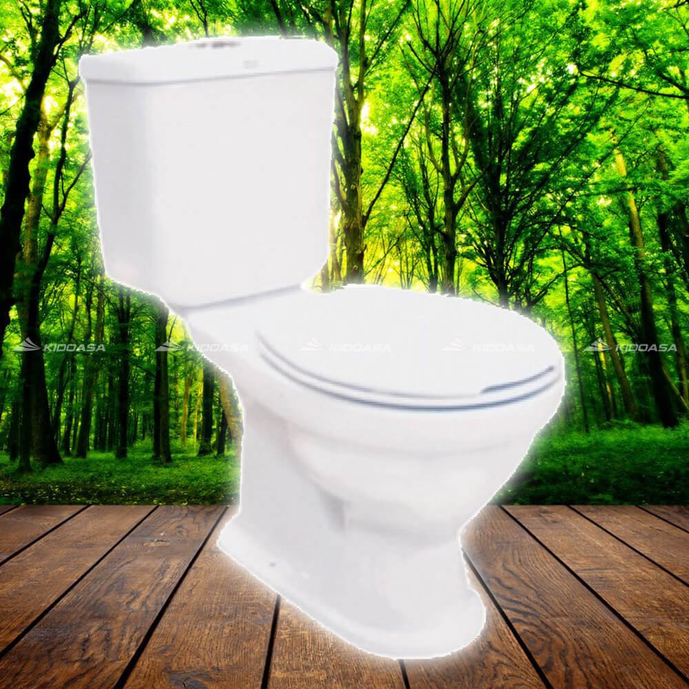 Bồn cầu 2 khối AMERICAN STANDARD VF-2321