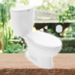 Bồn cầu 2 khối American Standard VF-2396