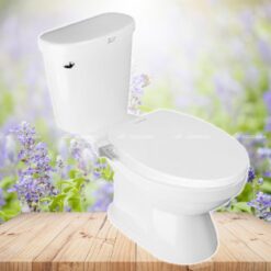 Bồn cầu 2 khối AMERICAN STANDARD C2398001-1MAS3B