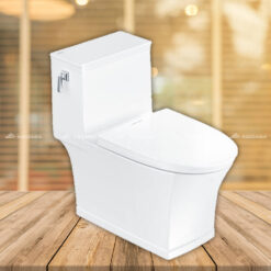 Bồn cầu American Standard VF-2781 - 2 khối