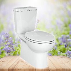 Bồn cầu 2 khối American Standard VF-2797