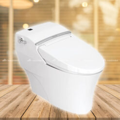 Bồn cầu 1 khối American Standard WP-2012/WF-7212