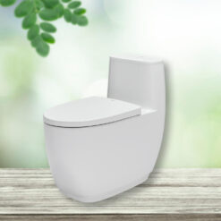 Bồn cầu 1 khối INAX AC-1052VN - Nắp êm