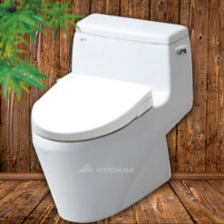 Bồn cầu nắp rửa lạnh INAX AC-1135+CW-S15VN