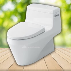 Bồn cầu 1 khối INAX AC-1135VN