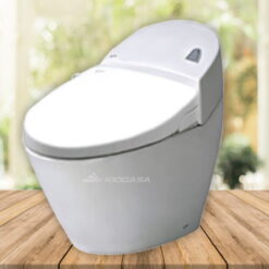 Bồn cầu nắp rửa lạnh INAX AC-2700+CW-S15VN