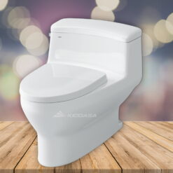 Bồn cầu 1 khối INAX AC-4005VN