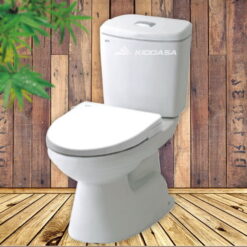 Bồn cầu 2 khối INAX AC-504A+CW-S15VN - Nắp rửa lạnh