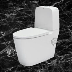 Bồn cầu 2 khối INAX AC-832VN