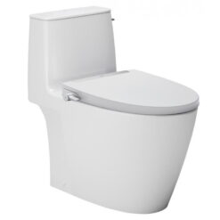 Bồn cầu nắp rửa cơ INAX AC-912+CW-S32VN