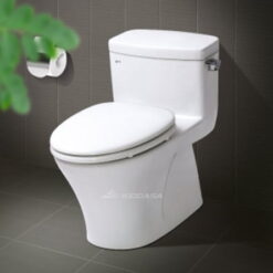 Bồn cầu 1 khối INAX AC-991VRN