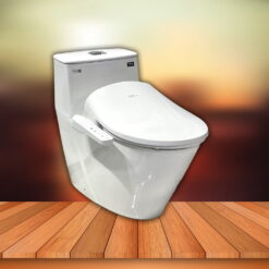 Bồn cầu thông minh INAX AC-919VRN#BW1/DB 5500