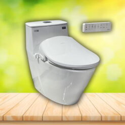 Bồn cầu thông minh INAX AC-919VRN#BW1/DB 5600