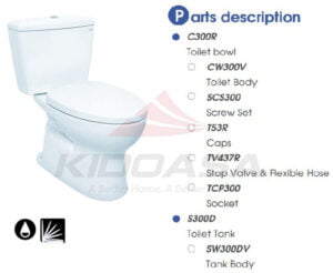bon cau toto CS300DRE2 1