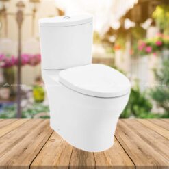 Bồn cầu 2 khối TOTO CS838DT3(CS838DT3#XW) - Nắp đóng êm