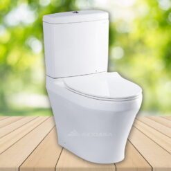 Bồn cầu TOTO CS948DT8 (CS948DT8#XW) -  2 khối nắp êm