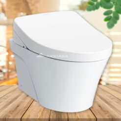 Bồn cầu treo tường TOTO CW822RA#W/TCF4911Z#NW1