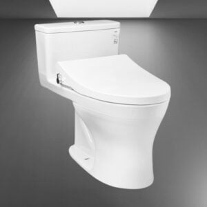 Bồn cầu TOTO MS855DE4 - Nắp rửa lạnh