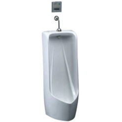 Bồn Tiểu nam Caesar U0288+637