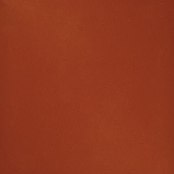 Gạch lát sân vườn 1450050010111