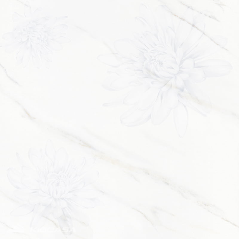 Gạch ốp trang trí Ý Mỹ P68061