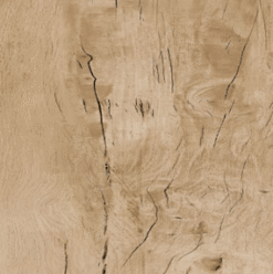 Gạch thiết kế Vân gỗ Eurotile Mộc Lan MOL G03