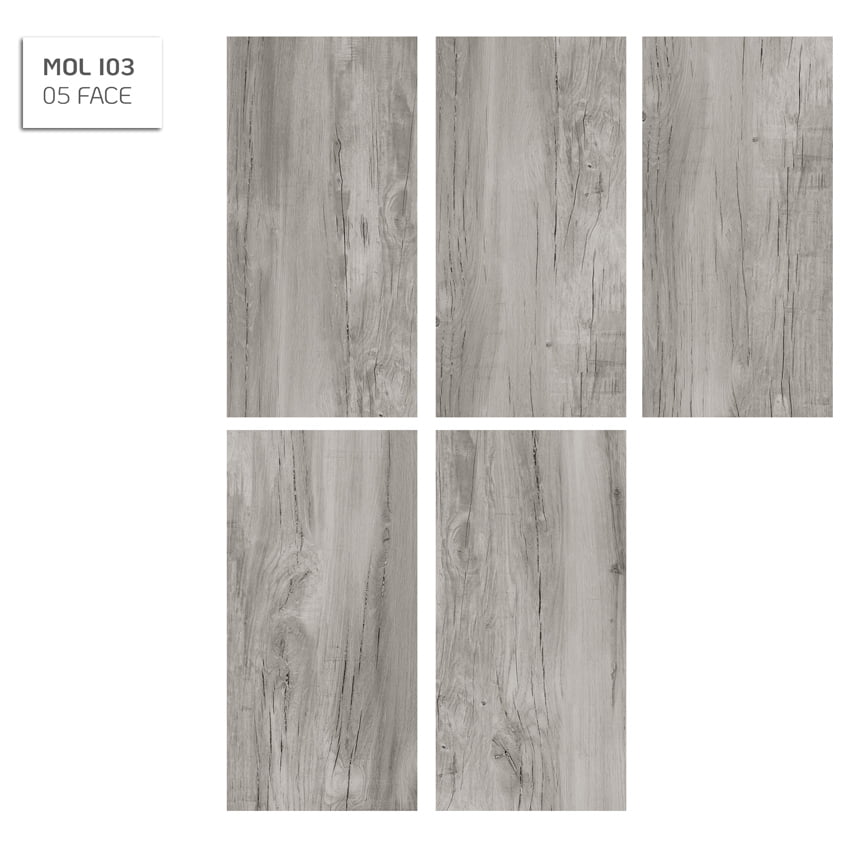 Gạch thiết kế Vân gỗ Eurotile Mộc Lan MOLI03 - Ảnh 4