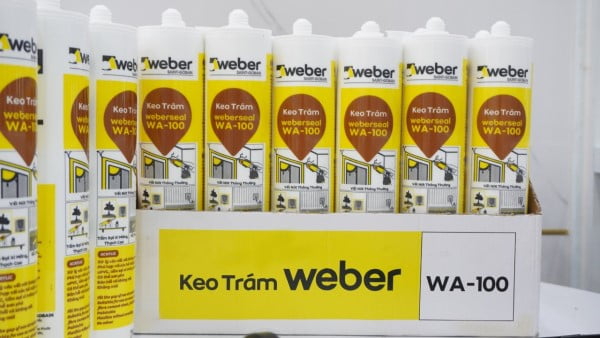 keo tram khe silicon wa 100 anh that