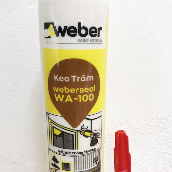 keo tram khe silicon wa 100 room