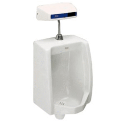 Bồn tiểu nam American Standard C6401119-1MA01