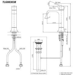 Bản vẽ kỹ thuật của vòi chậu nóng lạnh TOTO TLG08303B#BFG