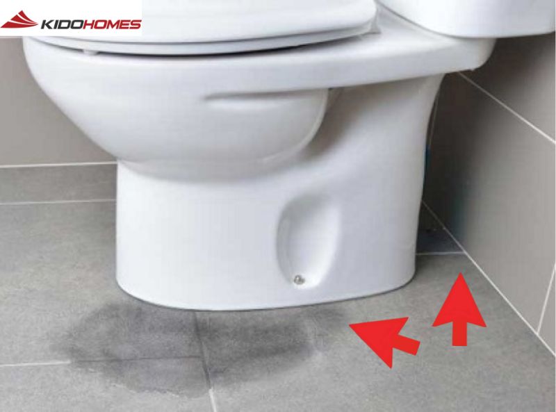 Phía sau và chân bồn cầu