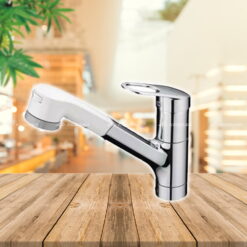 Vòi bếp nóng lạnh TOTO TKGG32EB1