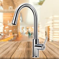 Vòi bếp nóng lạnh TOTO TKWC35ER