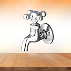 Vòi rửa lạnh gắn tường Daeshin DS-2006