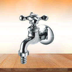 Vòi rửa lạnh gắn tường Daeshin DS-2004